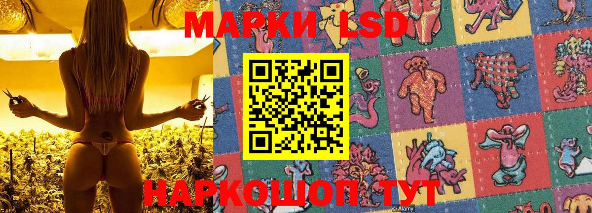 Марки 25I-NBOMe 1500мкг Карачаевск