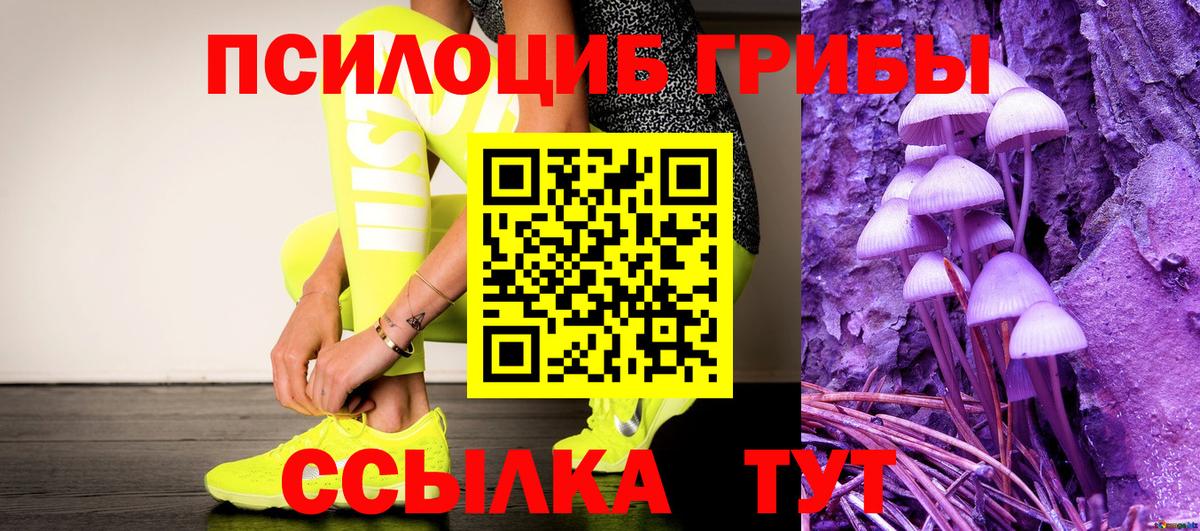 Галлюциногенные грибы Psilocybe Карачаевск