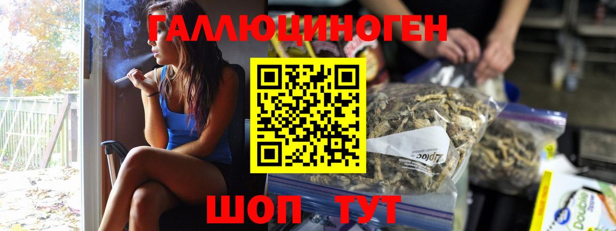 Галлюциногенные грибы GOLDEN TEACHER  Вход с VPN  Галлюциногенные грибы ЛСД  где найти наркотики  Карачаевск 